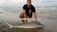 Boca Chica Beach Legends - Jose  Gonzalez