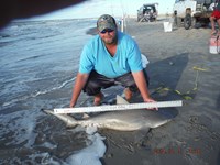 Team Southern Sharkers - Donnie Tidwell