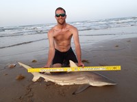 CatchSharks2 - Sean Curless