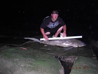 Team Southern Sharkers - David Wolcott