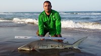 Boca Chica Beach Legends - Jose  Gonzalez