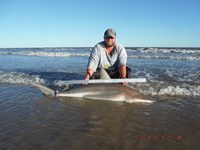 Team Southern Sharkers - Donnie Tidwell