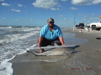 Team Southern Sharkers - Donnie Tidwell