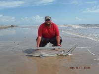 Team Southern Sharkers - Donnie Tidwell