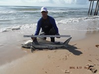 Texas Surf Fishing - Kris Rejcek