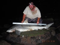 Team Southern Sharkers - Donnie Tidwell