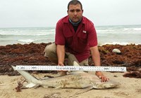 Boca Chica Beach Legends - Jose  Gonzalez