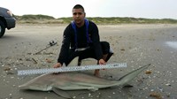 Currican Extreme Shark Anglers - Jimmy Gonzales