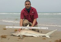 Boca Chica Beach Legends - Jose  Gonzalez