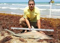 Boca Chica Beach Legends - Jose  Gonzalez