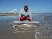 Team Southern Sharkers - Donnie Tidwell