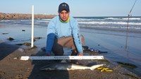 Currican Extreme Shark Anglers - eric trevino