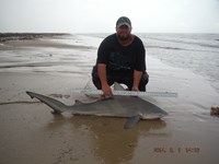 Team Southern Sharkers - Donnie Tidwell