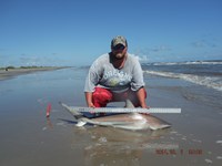 Team Southern Sharkers - Donnie Tidwell