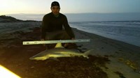 Currican Extreme Shark Anglers - eric trevino