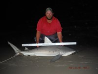 Team Southern Sharkers - Donnie Tidwell