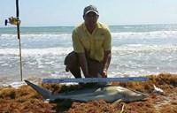 Boca Chica Beach Legends - Jose  Gonzalez