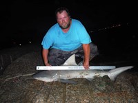 Team Southern Sharkers - Donnie Tidwell