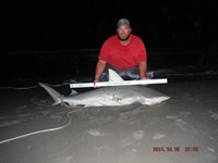 Team Southern Sharkers - Donnie Tidwell