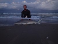 CatchSharks2 - Sean Curless