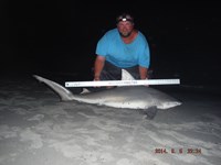 Team Southern Sharkers - Donnie Tidwell