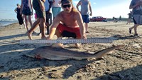Lone Star Shark Wranglers - Cody Curet