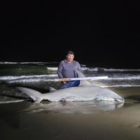 South Texas Shark Stewards - Rome Fuentes