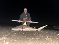 Rodeo Heroes - Steven Tidwell