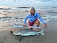 Team Breakaway  - Carol  Cox