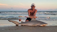 Sharkaholics - David Crain