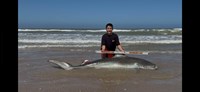 South Texas Shark Stewards - Cody  Guardiola 