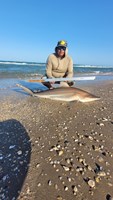 South Texas Shark Stewards - Rome Fuentes