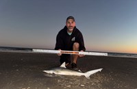 Rodeo Heroes - Steven Tidwell