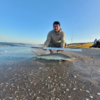South Texas Shark Stewards - Rome Fuentes