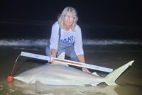 Team Breakaway  - Carol  Cox