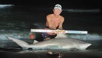 Sharkaholics - David Crain