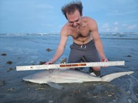 Up Coast Sharkers - Aiden Anderson