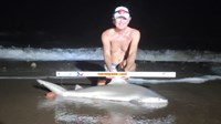 Sharkaholics - David Crain