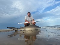 FISH ON CUSTOM LEADERS - Josh Diaz