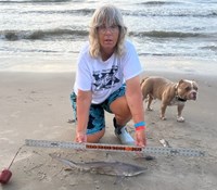 Team Breakaway  - Carol  Cox