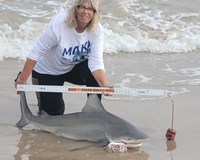 Team Breakaway  - Carol  Cox