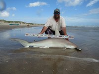 Rodeo Heroes - Donnie Tidwell