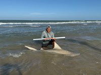 Low Tide Mafia - Ismael Caballero