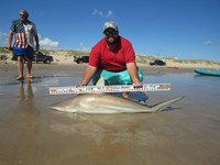 Rodeo Heroes - Donnie Tidwell