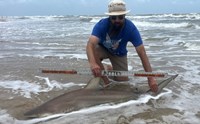 Just Bitten Shark Fishing Team - Guy Havel