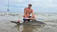 Sharkaholics - David Crain