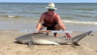 Sharkaholics - Shane Belair
