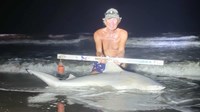 Sharkaholics - David Crain