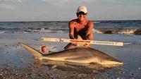 Sharkaholics - David Crain