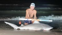Sharkaholics - David Crain